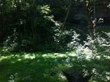 9999 Hales Fork Road - Photo 45