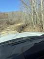 9999 Hales Fork Road - Photo 47