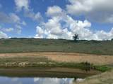 Tract 29 Pittsburg Landing Road - Photo 16