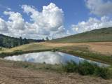 Tract 29 Pittsburg Landing Road - Photo 18