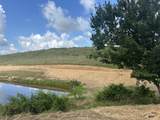 Tract 29 Pittsburg Landing Road - Photo 19