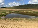 Tract 29 Pittsburg Landing Road - Photo 3