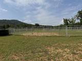 1440 Lawson Bend Road - Photo 21