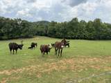 1440 Lawson Bend Road - Photo 24