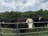 1440 Lawson Bend Road - Photo 25