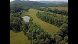1440 Lawson Bend Road - Photo 26