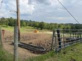 1440 Lawson Bend Road - Photo 29
