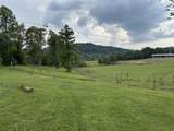 1440 Lawson Bend Road - Photo 30