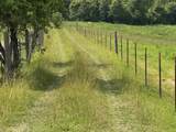1440 Lawson Bend Road - Photo 57