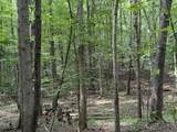 1440 Lawson Bend Road - Photo 60