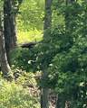1440 Lawson Bend Road - Photo 65