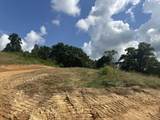 Tract 28 Pittsburg Landing Road - Photo 13