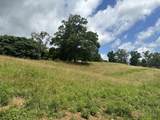 Tract 28 Pittsburg Landing Road - Photo 16