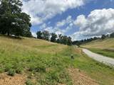 Tract 28 Pittsburg Landing Road - Photo 17