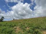 Tract 28 Pittsburg Landing Road - Photo 18