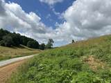 Tract 28 Pittsburg Landing Road - Photo 19