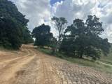 Tract 28 Pittsburg Landing Road - Photo 6