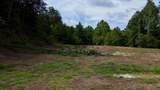 223 Bertha Hollow Road - Photo 6
