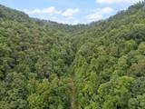 0 Hall Branch Road - Photo 5