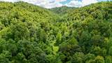 0 Woolum Disappointment Hollow Road - Photo 1