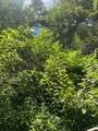 0 Woolum Disappointment Hollow Road - Photo 11