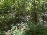 0 Woolum Disappointment Hollow Road - Photo 12