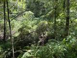 0 Woolum Disappointment Hollow Road - Photo 18