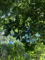 0 Woolum Disappointment Hollow Road - Photo 26