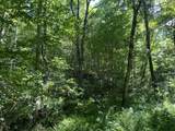 0 Woolum Disappointment Hollow Road - Photo 29