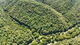 0 Woolum Disappointment Hollow Road - Photo 45