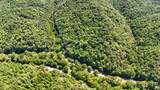 0 Woolum Disappointment Hollow Road - Photo 46