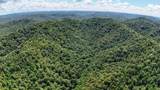 0 Woolum Disappointment Hollow Road - Photo 55