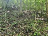 0 Woolum Disappointment Hollow Road - Photo 8