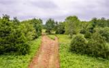 2176 Alton Station Road - Photo 9