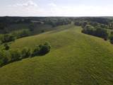 147.5 Acres 1375 Avenstoke Road - Photo 15