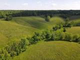 147.5 Acres 1375 Avenstoke Road - Photo 16