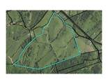 147.5 Acres 1375 Avenstoke Road - Photo 2