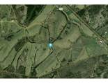 147.5 Acres 1375 Avenstoke Road - Photo 3
