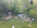 147.5 Acres 1375 Avenstoke Road - Photo 6