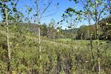 0 Esculapis Fork Road - Photo 10