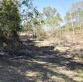 0 Esculapis Fork Road - Photo 14