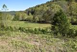 0 Esculapis Fork Road - Photo 15