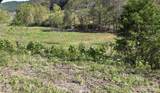 0 Esculapis Fork Road - Photo 16