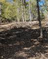 0 Esculapis Fork Road - Photo 19