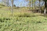 0 Esculapis Fork Road - Photo 3
