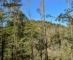 0 Esculapis Fork Road - Photo 30