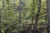 0 Esculapis Fork Road - Photo 34