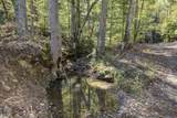 0 Esculapis Fork Road - Photo 35