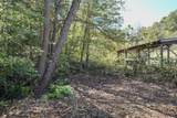 0 Esculapis Fork Road - Photo 36
