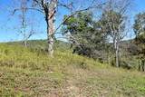 0 Esculapis Fork Road - Photo 6